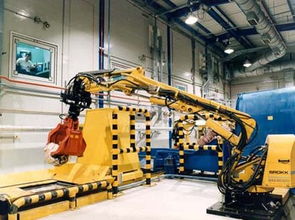 加快工業(yè)機(jī)器人技術(shù)研發(fā)與生產(chǎn)，標(biāo)準(zhǔn)化引領(lǐng)未來(lái)趨勢(shì)