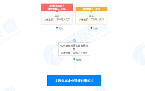馬云旗下公司全資收購寶恩企業管理咨詢，深化商業版圖布局